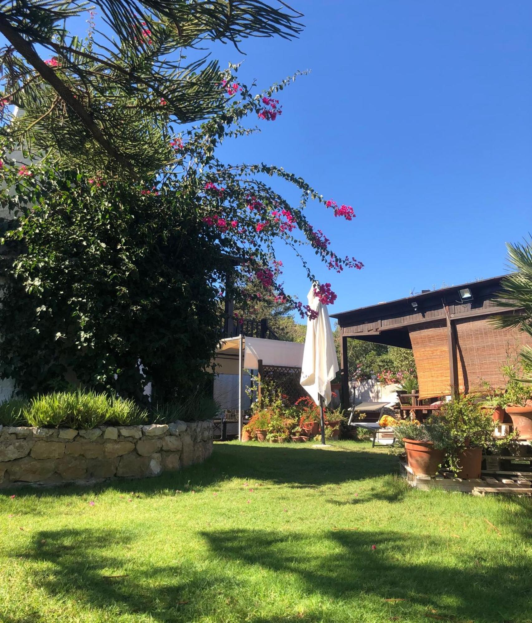 Il Giardino Su Capo Caccia Villa Alghero Luaran gambar